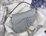 Dior Saddle20