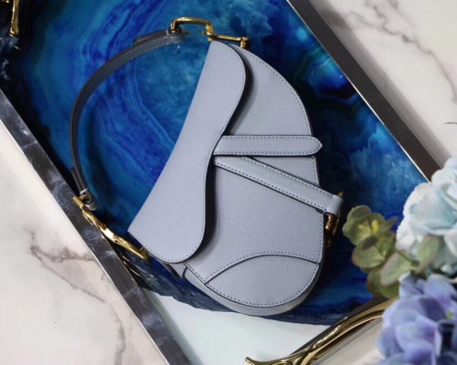 Dior Saddle27
