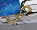 Dior Saddle22
