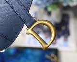 Dior Saddle6