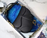 Dior Saddle8