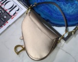 Dior Saddle18