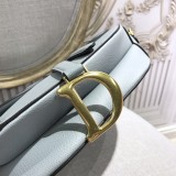 Dior Saddle4