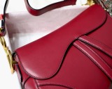 Dior Saddle12