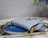 Dior Saddle9
