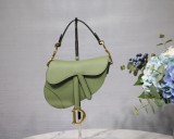 Dior Saddle26