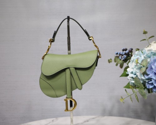 Dior Saddle26