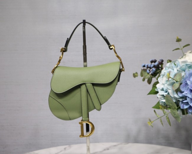 Dior Saddle26