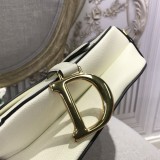 Dior Saddle2