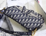 Dior Saddle19