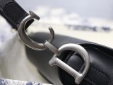 Dior Saddle15