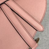 Dior Saddle5