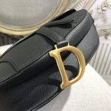 Dior Saddle1