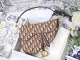 Dior Saddle31