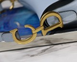 Dior Saddle9