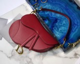 Dior Saddle10