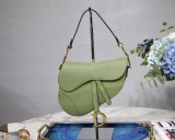 Dior Saddle11