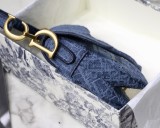 Dior Saddle16