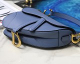 Dior Saddle6
