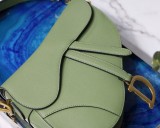 Dior Saddle11