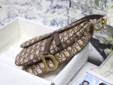Dior Saddle31