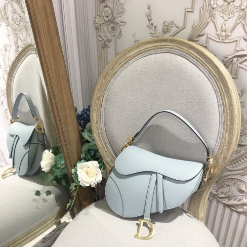 Dior Saddle4