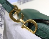Dior Saddle7