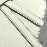 Dior Saddle2