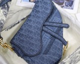 Dior Saddle16