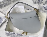 Dior Saddle20
