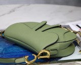 Dior Saddle26