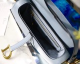Dior Saddle9