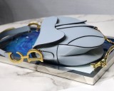 Dior Saddle9