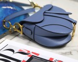 Dior Saddle6