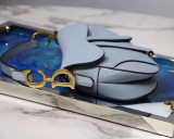 Dior Saddle27