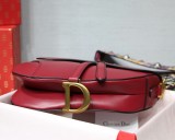Dior Saddle12