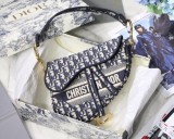 Dior Saddle19