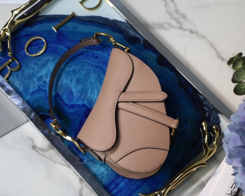 Dior Saddle25
