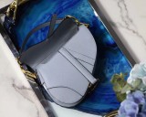 Dior Saddle27