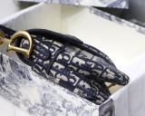 Dior Saddle19