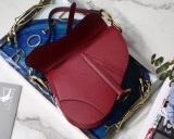 Dior Saddle10
