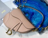 Dior Saddle17