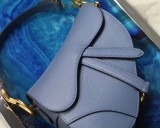 Dior Saddle6