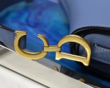 Dior Saddle6