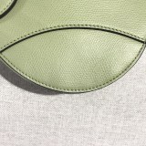 Dior Saddle3