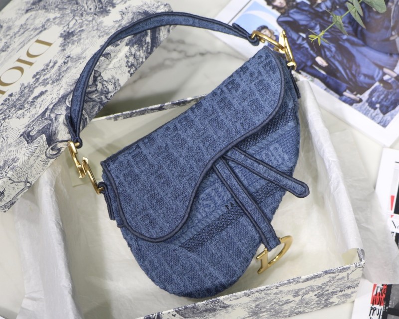 Dior Saddle16