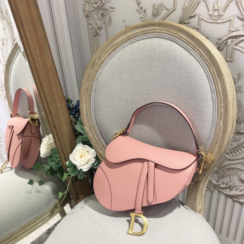 Dior Saddle5