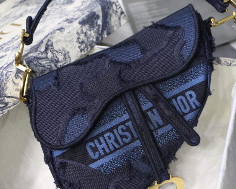Dior Saddle29