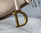 Dior Saddle18