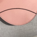 Dior Saddle5
